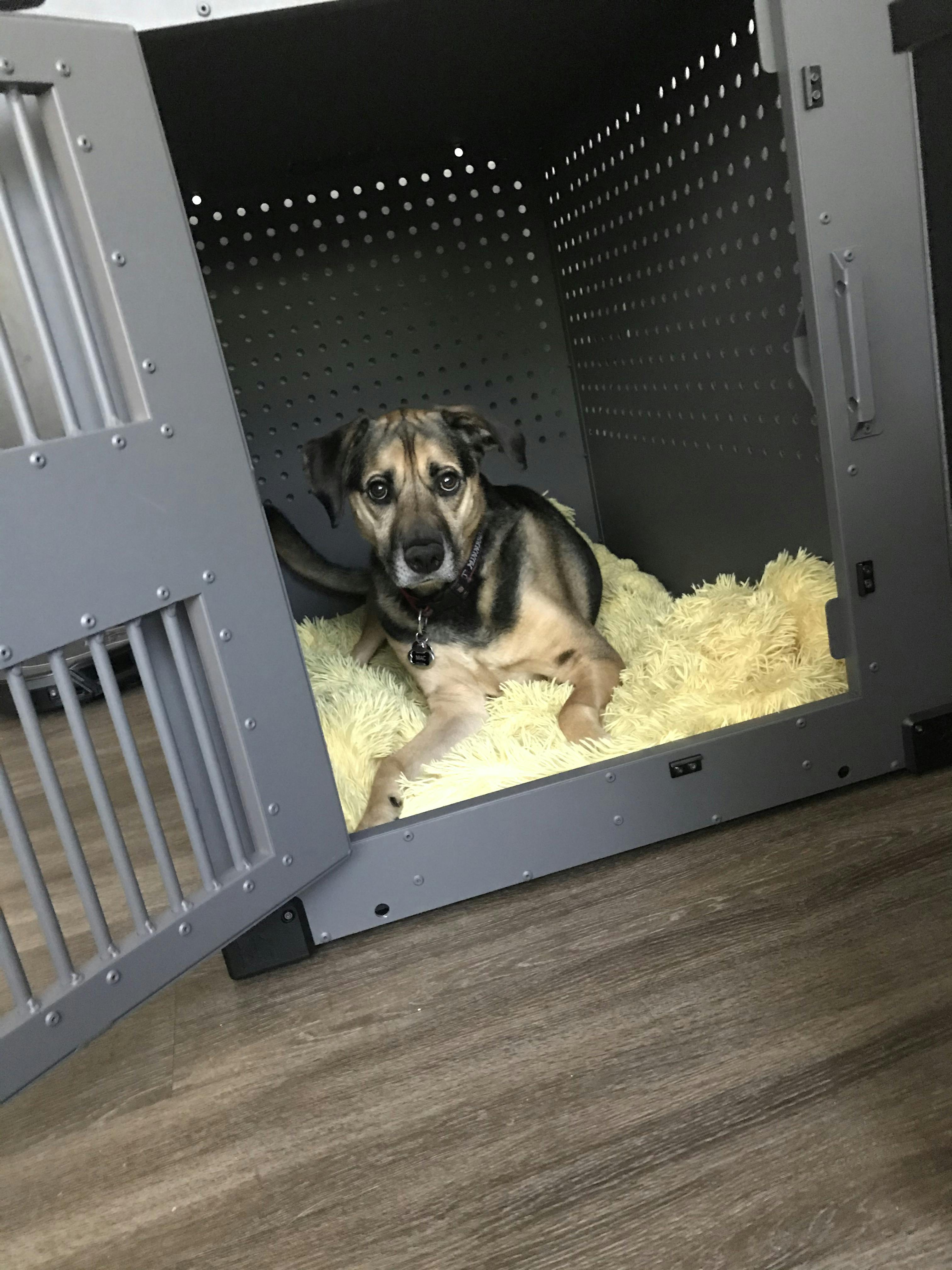 High Anxiety Dog Crate, Strong & Safe Impact Dog Crates