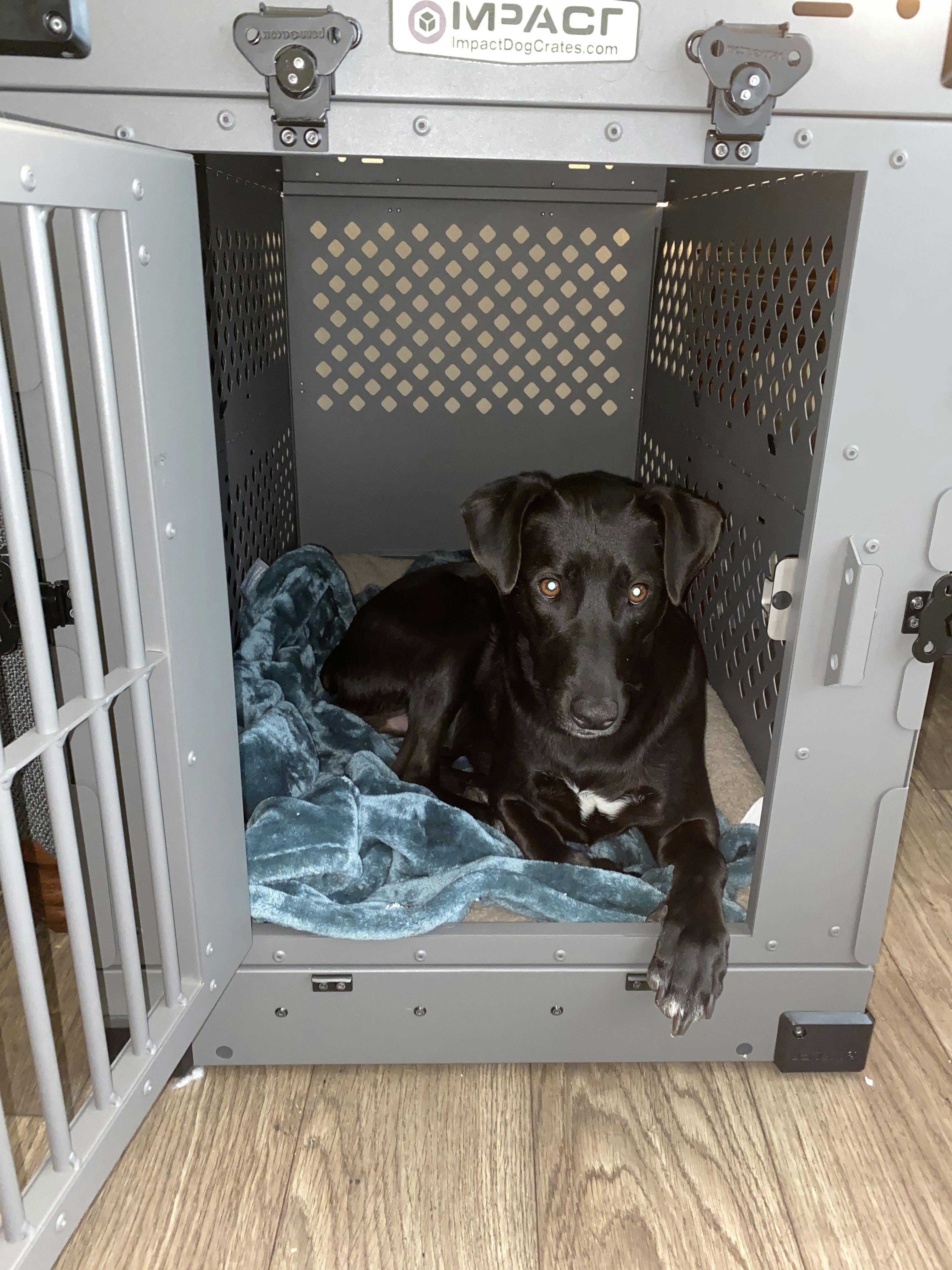 Collapsible Dog Crate Impact Dog Crates