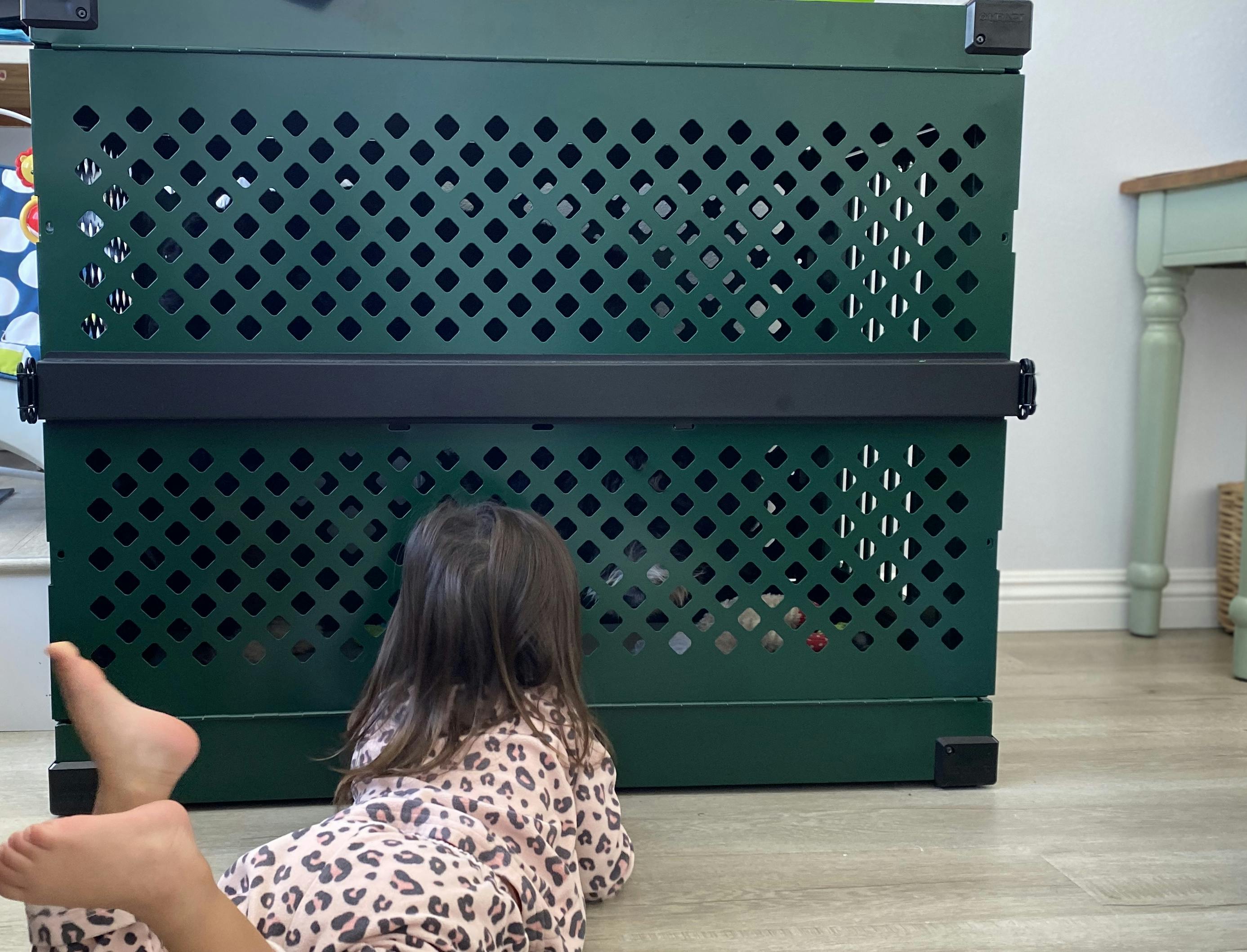 Collapsible Dog Crate Impact Dog Crates