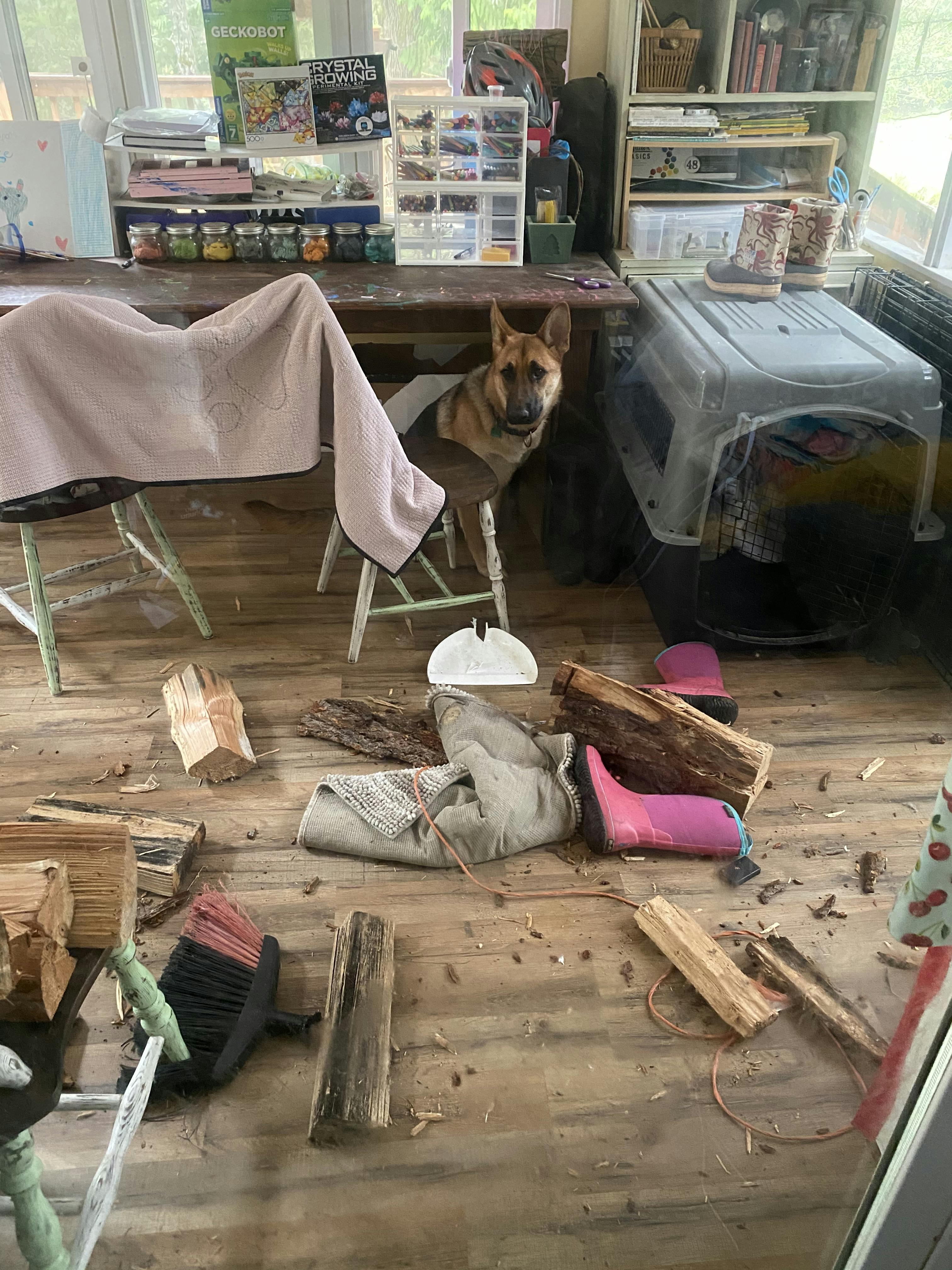 High Anxiety Dog Crate, Strong & Safe Impact Dog Crates