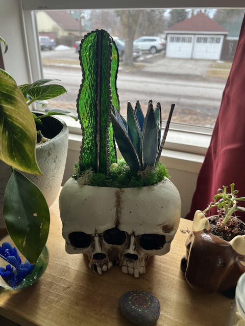 Cactus