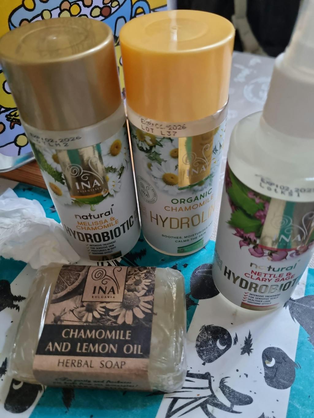 InaEssentials France