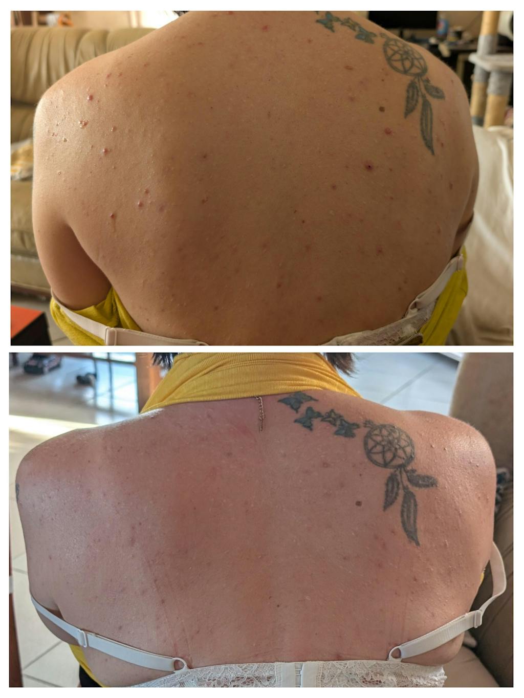 InaEssentials France