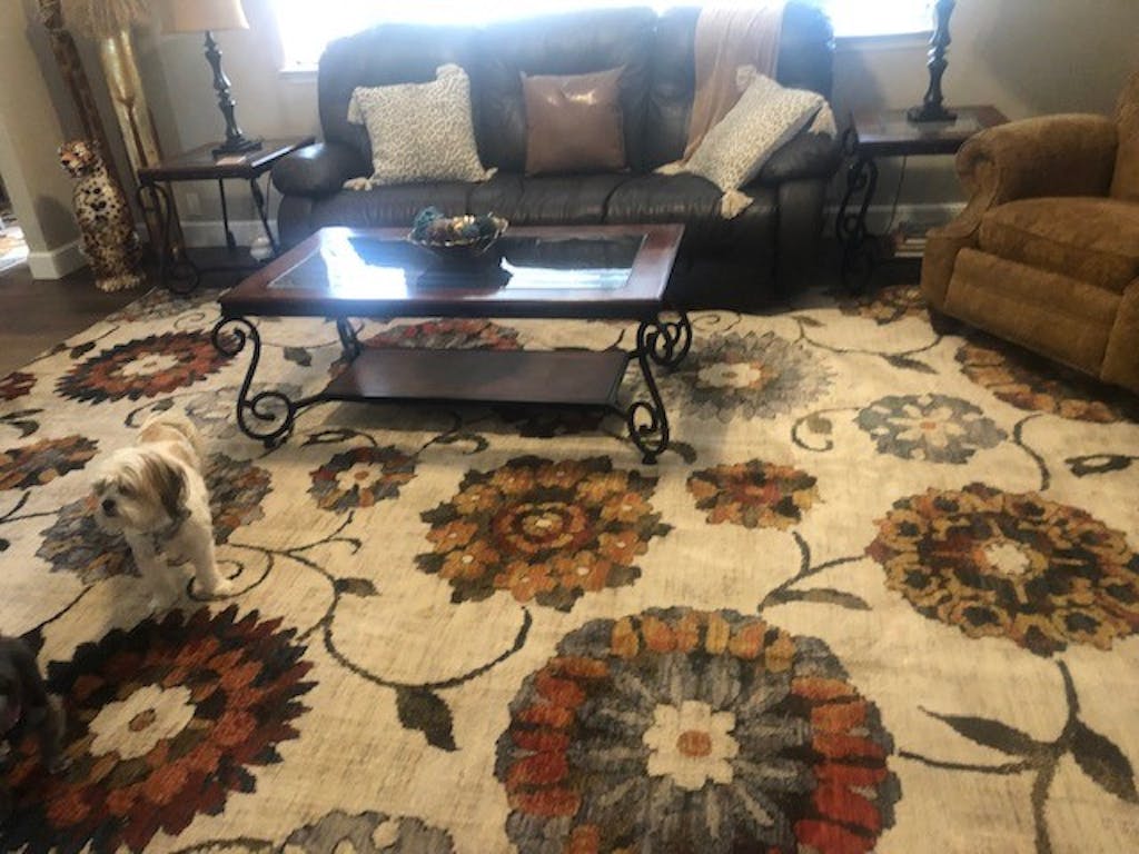 Oriental Weavers Sedona 6361A Ivory/Multi Area Rug Incredible Rugs