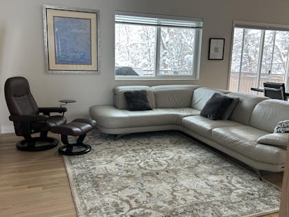 Oriental Weavers Andorra 9818G Beige/Ivory Area Rug – Incredible