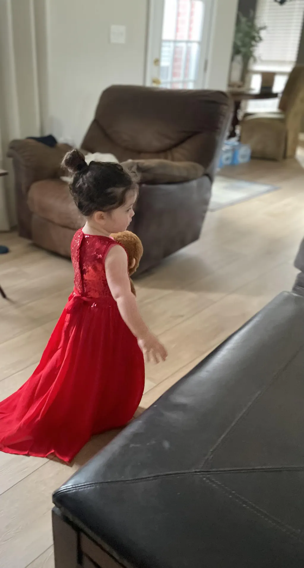 Noelle Dress (red chiffon) FINAL SALE