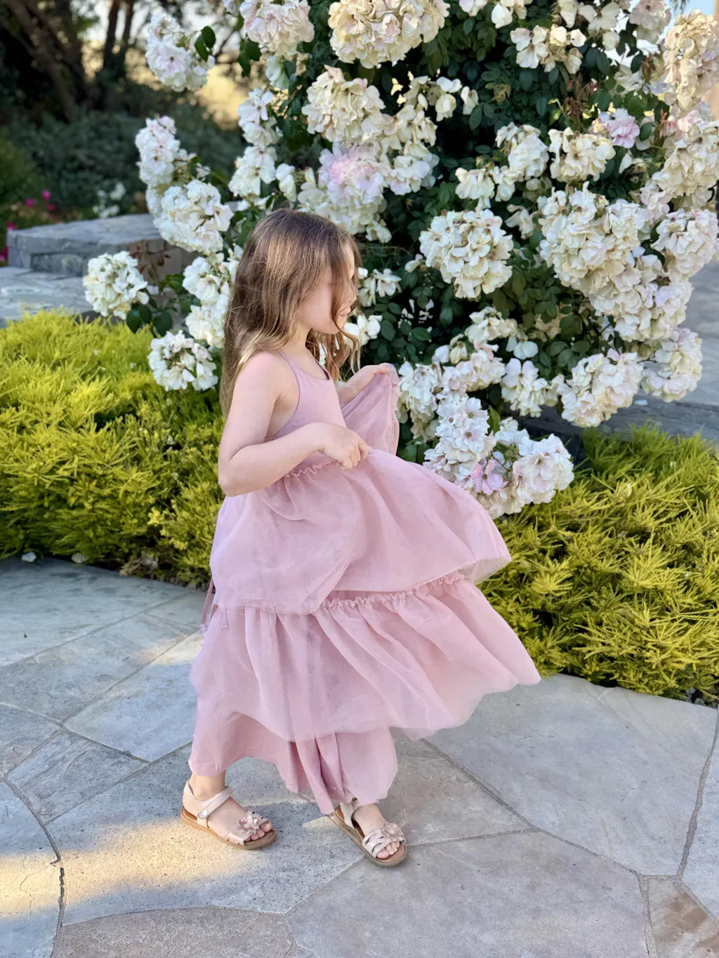 Wendy Dress (soft pink tulle)