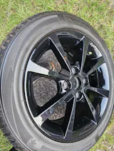 User picture