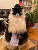 Moyen (32 cm) - Jouet en alpaga - Animal en peluche - Soulagement du stress