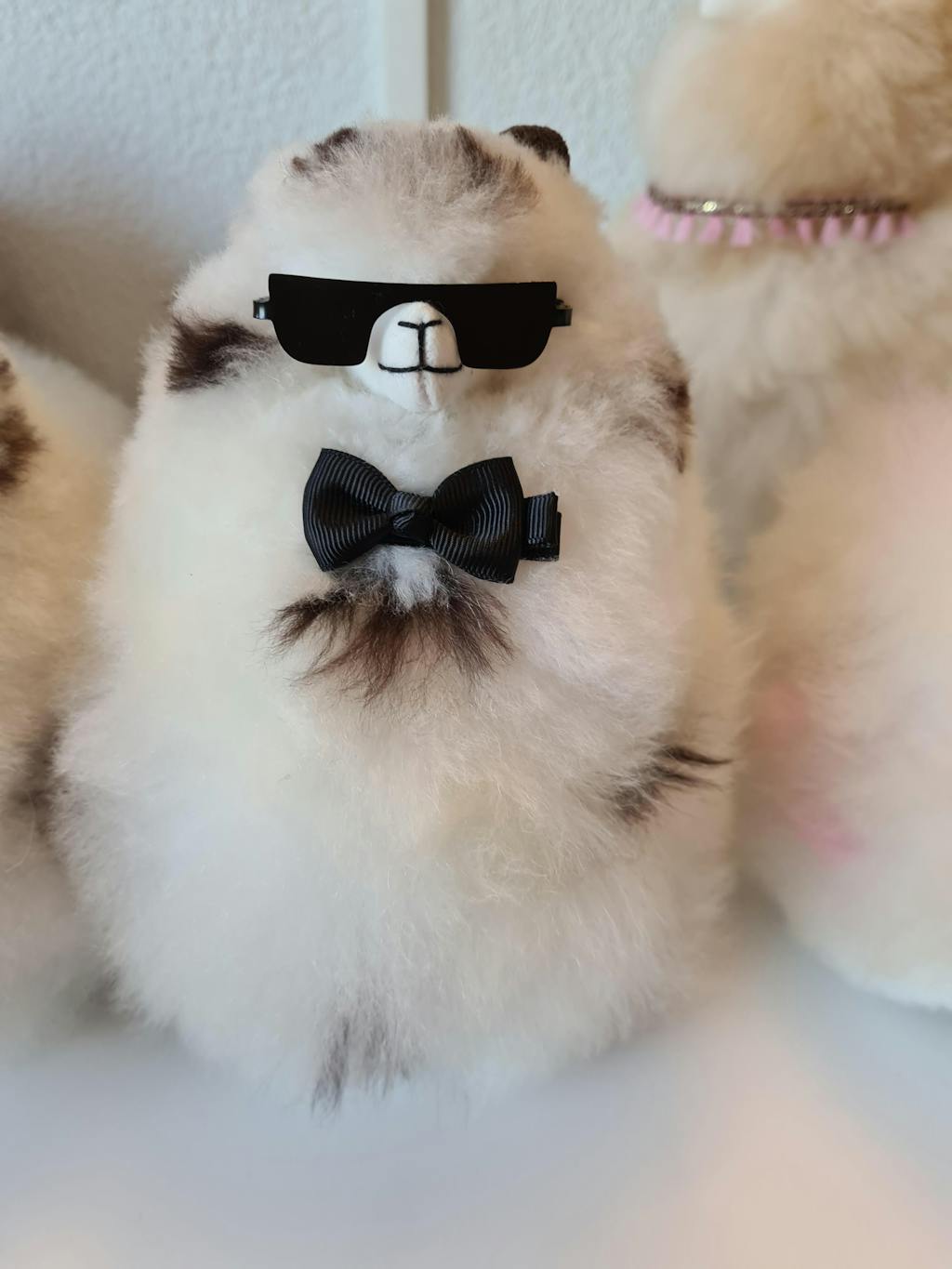 Cool Alpaca Sunglasses - Small & Medium Alpacas - Alpaca Accesory