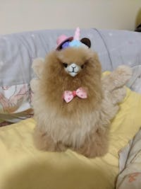 Alpaca Unicorn Horn