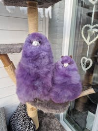 Limited Edition - Violet - Medium Alpaca Toy (32cm)