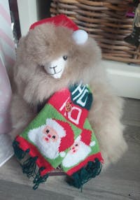 Alpaca Christmas Hat