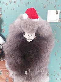 Alpaca Christmas Hat