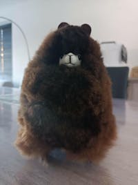 Naturals - Small (23cm) - Alpaca Toys - Stuffed Animal - Stress Relief