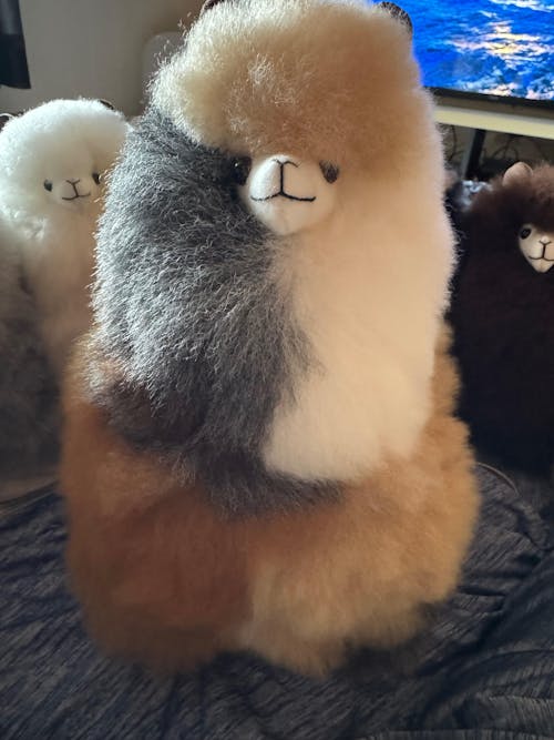 Inkari - Number 1 In Alpaca
