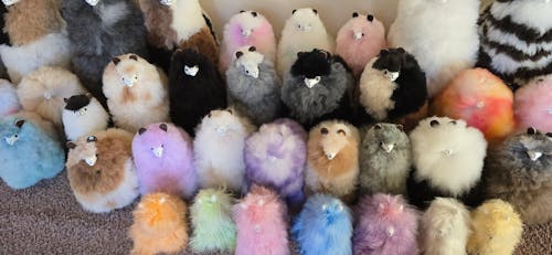 Inkari - Number 1 In Alpaca