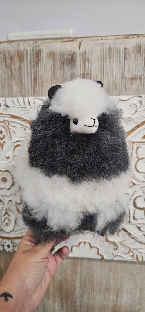 Inkari - Number 1 In Alpaca