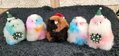 Inkari - Number 1 In Alpaca