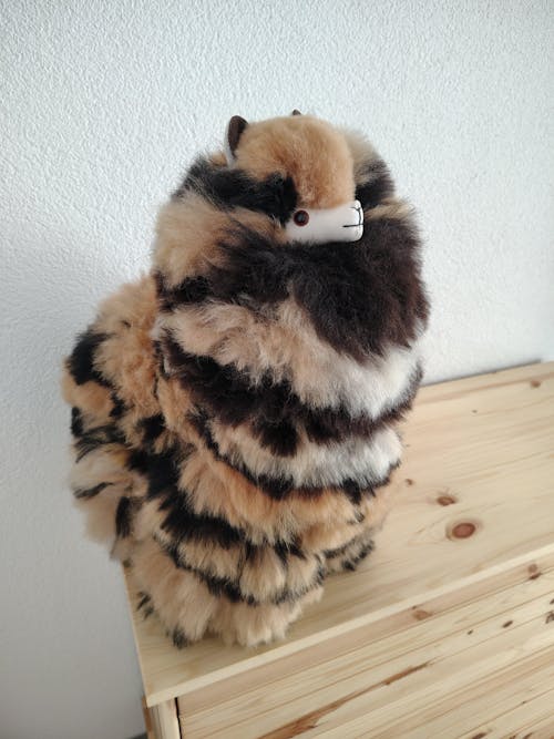 Inkari - Number 1 In Alpaca