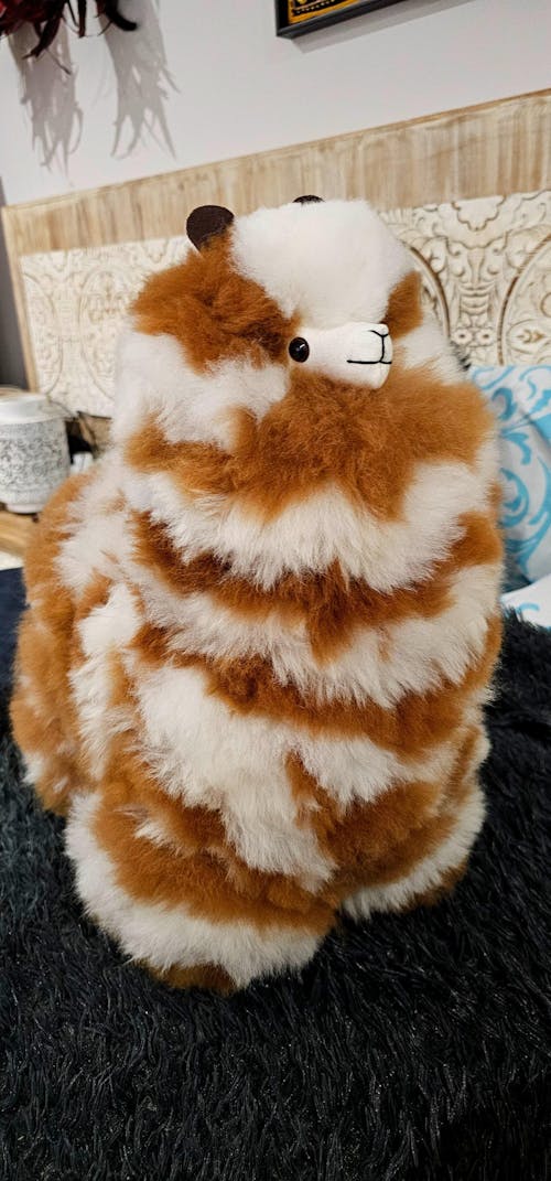 Inkari - Number 1 In Alpaca