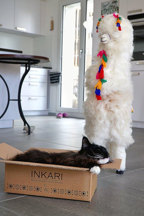 Inkari - Number 1 In Alpaca