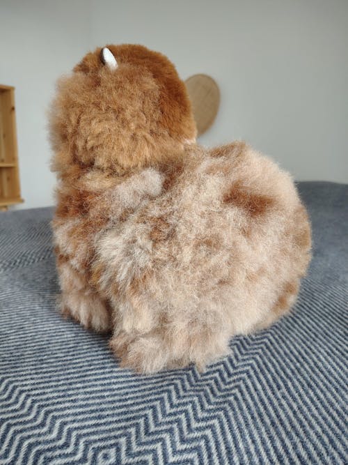 Inkari - Number 1 In Alpaca