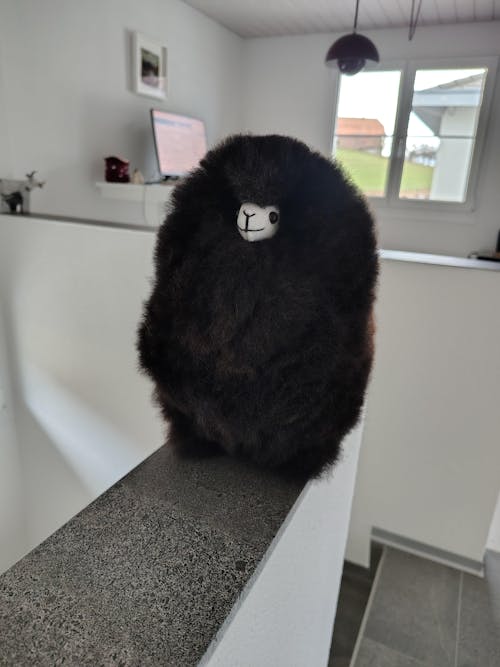 Inkari - Number 1 In Alpaca