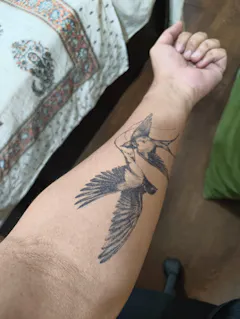 Review picture