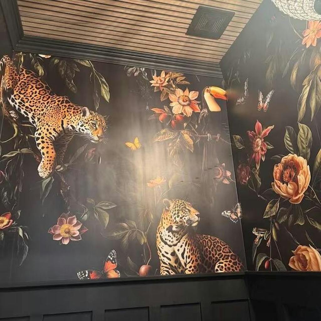 Jaguar & Toucan | Black