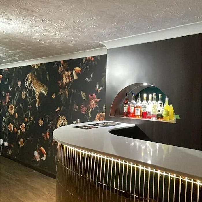 Exotic Tropical Jungle Wallpaper - Toucan, Jaguar, Spider & Butterflies