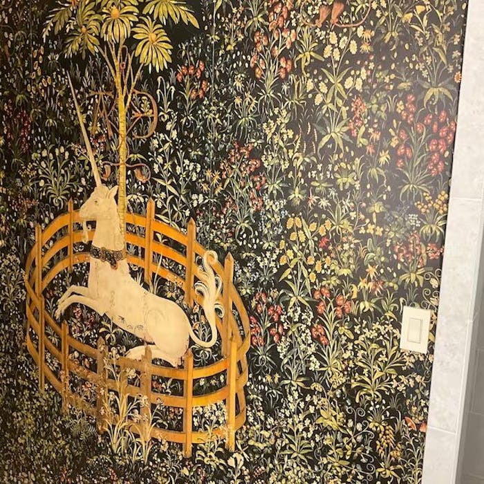 Unicorn In Captivity | Mural