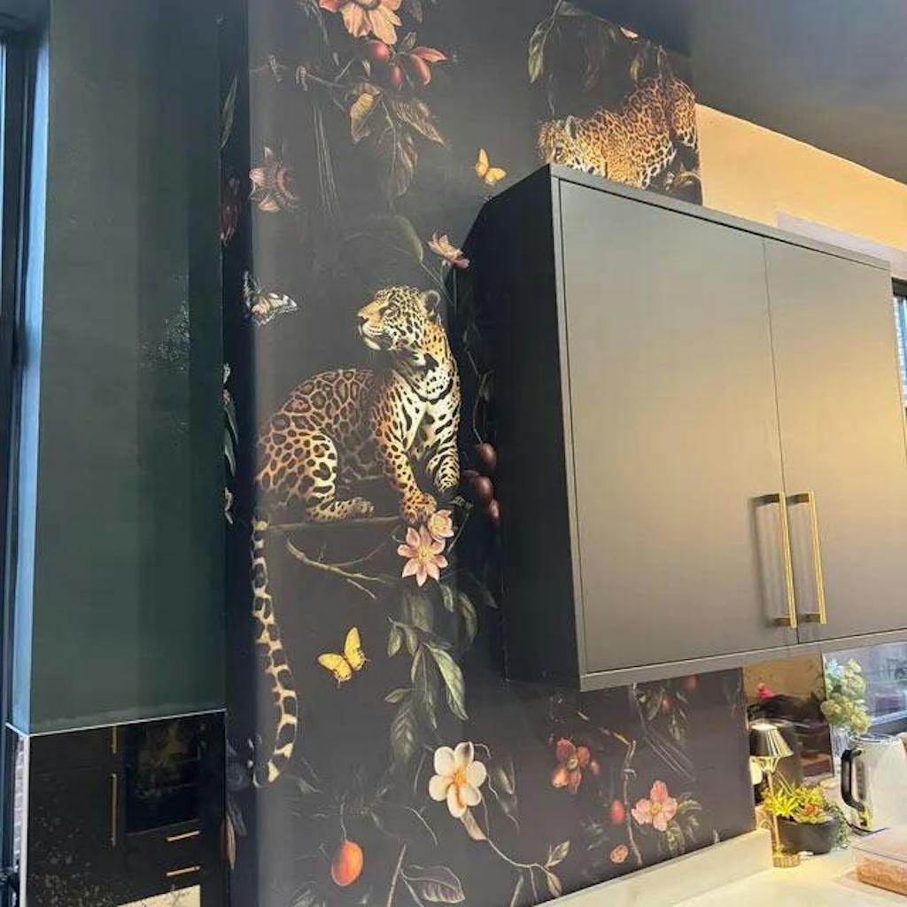 Jaguar & Toucan | Black