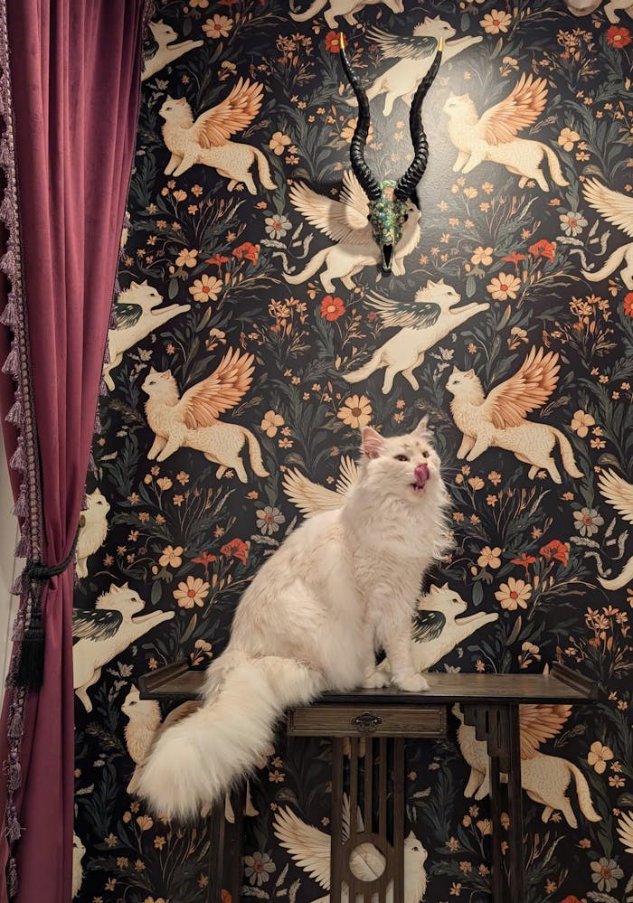 Mythical Cats Botanicals Wallpaper | Black Magic