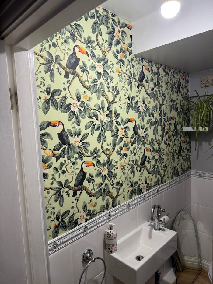 Tropical Toucans Wallpaper