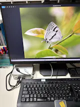 User picture