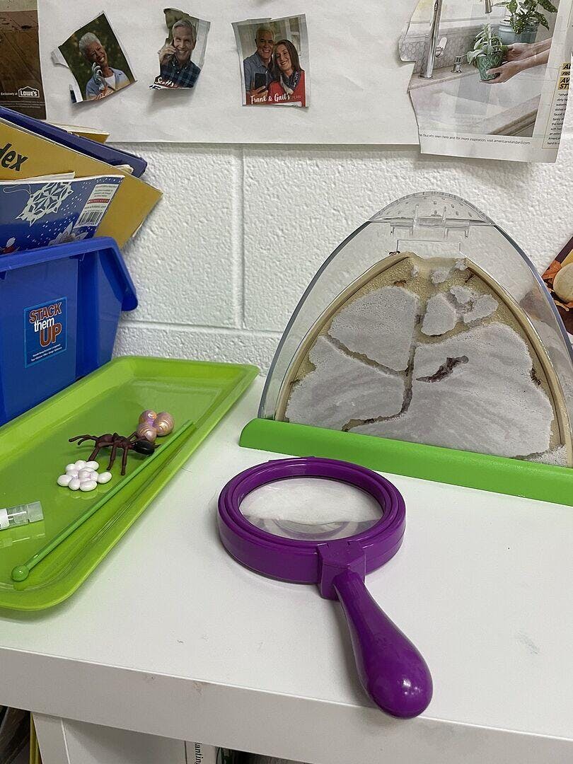 Ant Mountain™ Refill | 25 Harvester Ants, Sand, & Rod - Insect Lore