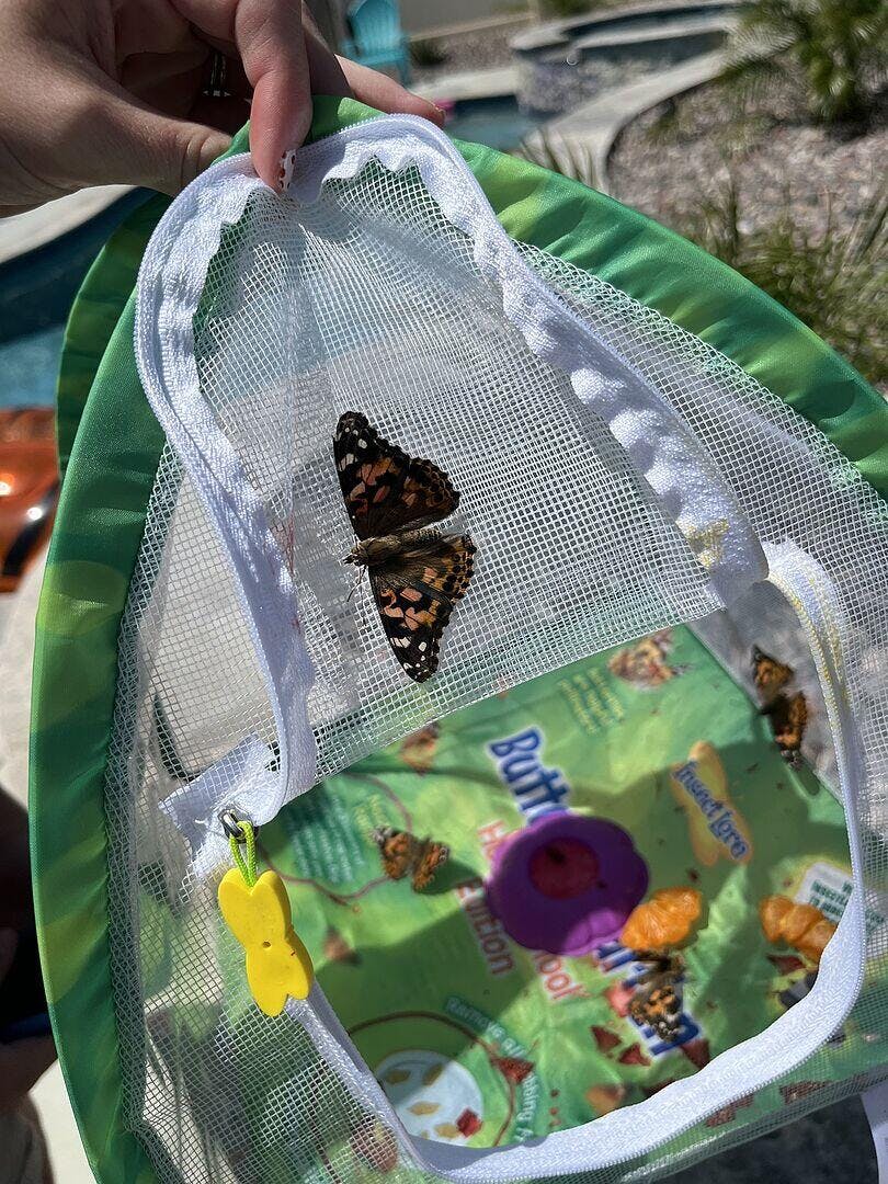 Butterfly Garden® Early Learning Edition with Prepaid Voucher