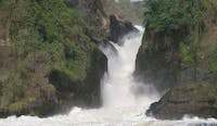2 Days Safari to Murchison Falls National Game Park