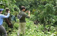 3 days Safari to Bwindi Gorilla Tracking