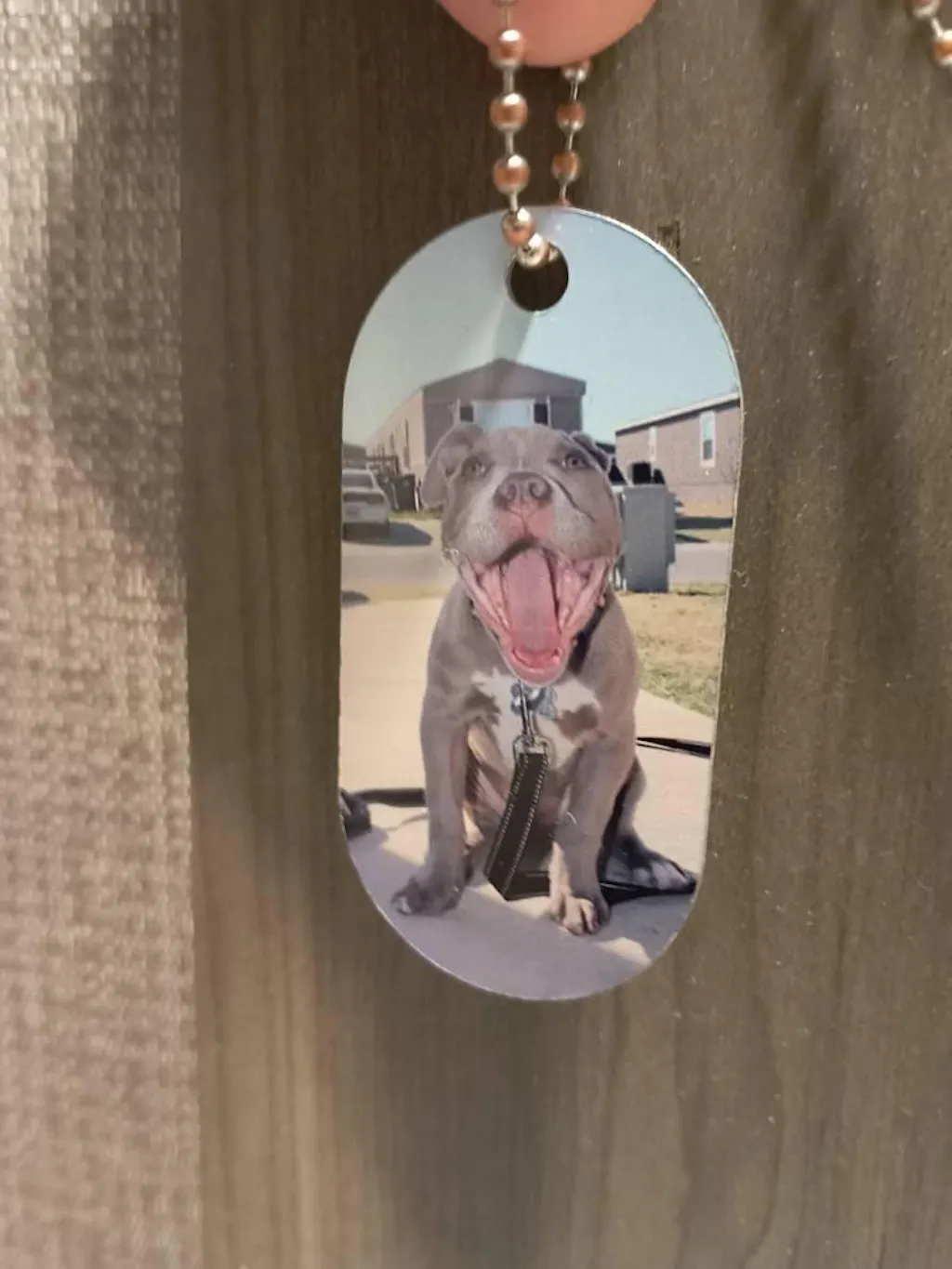 Personalized Double-Sided Photo Dog Tag Necklace with 24" Ball Chain - Customizable Gift for Any Occasion