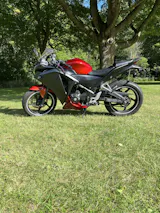 User picture