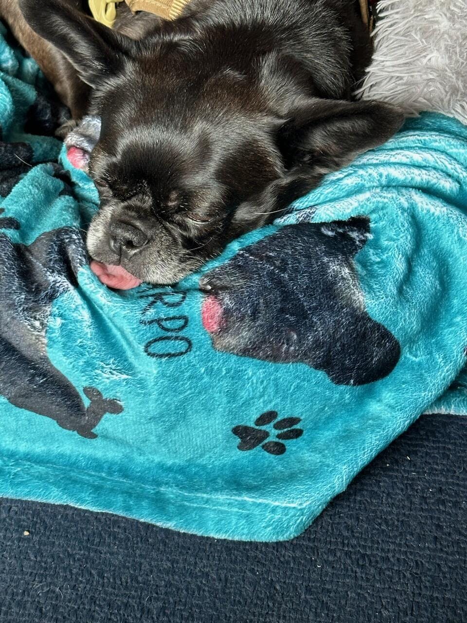 Upload Your Photo Blanket For Dog, Cat Lovers Custom Photo Pet Interest Pod