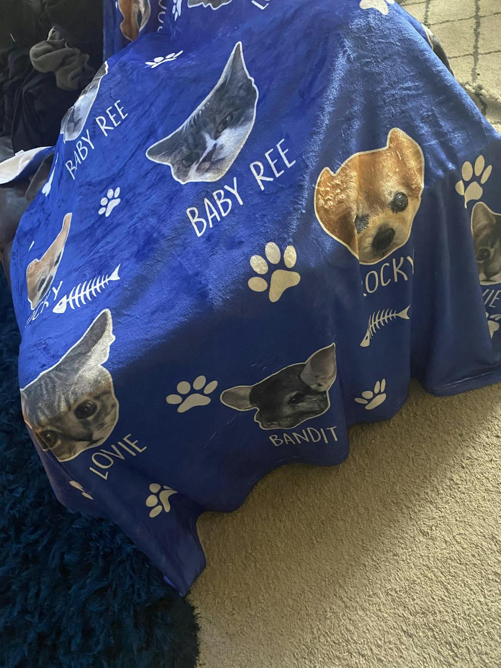 Upload Your Photo Blanket For Dog, Cat Lovers Custom Photo Pet