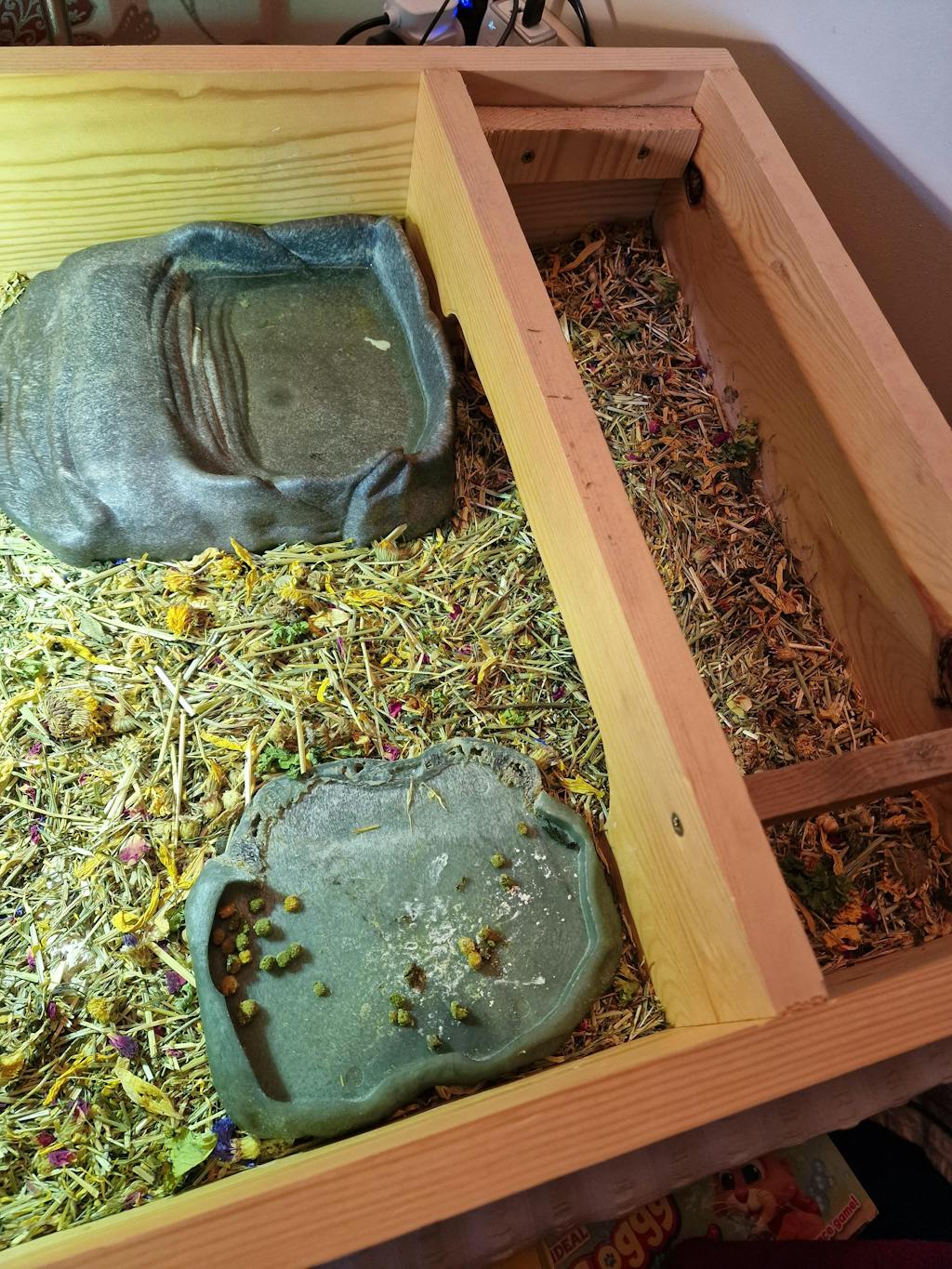 Komodo Edible Tortoise Bedding