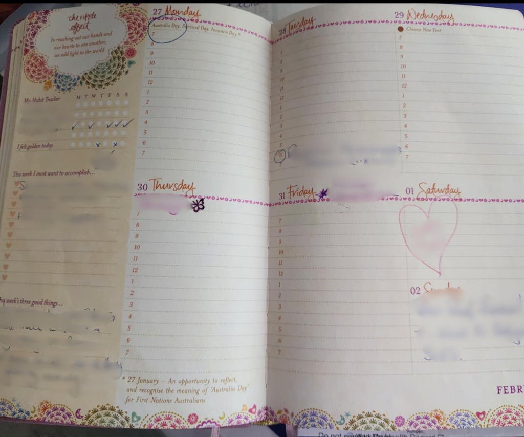 2025 Diary Planner | The Year for New Beginnings - Moonlit Mauve Purple
