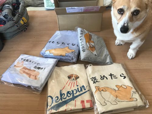 犬トート バッグ 犬 エコ バッグ Corgi  褒めたら伸びるタイプ