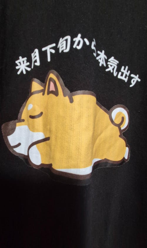 犬 tシャツ 犬イラスト 柴犬 来月下旬から本気出す|アダルト&キッズサイズ