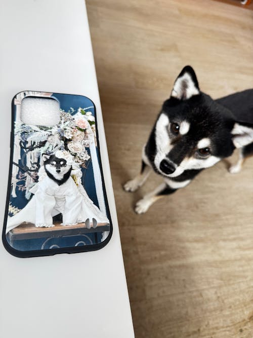 【写真入れ】うちの子 オリジナル iPhone ケース クリスマス プレゼント ペット猫 犬 写真カスタマイズ