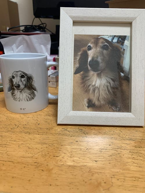 名入れ・写真アート変換｜うちの子マグカップ／inujoy